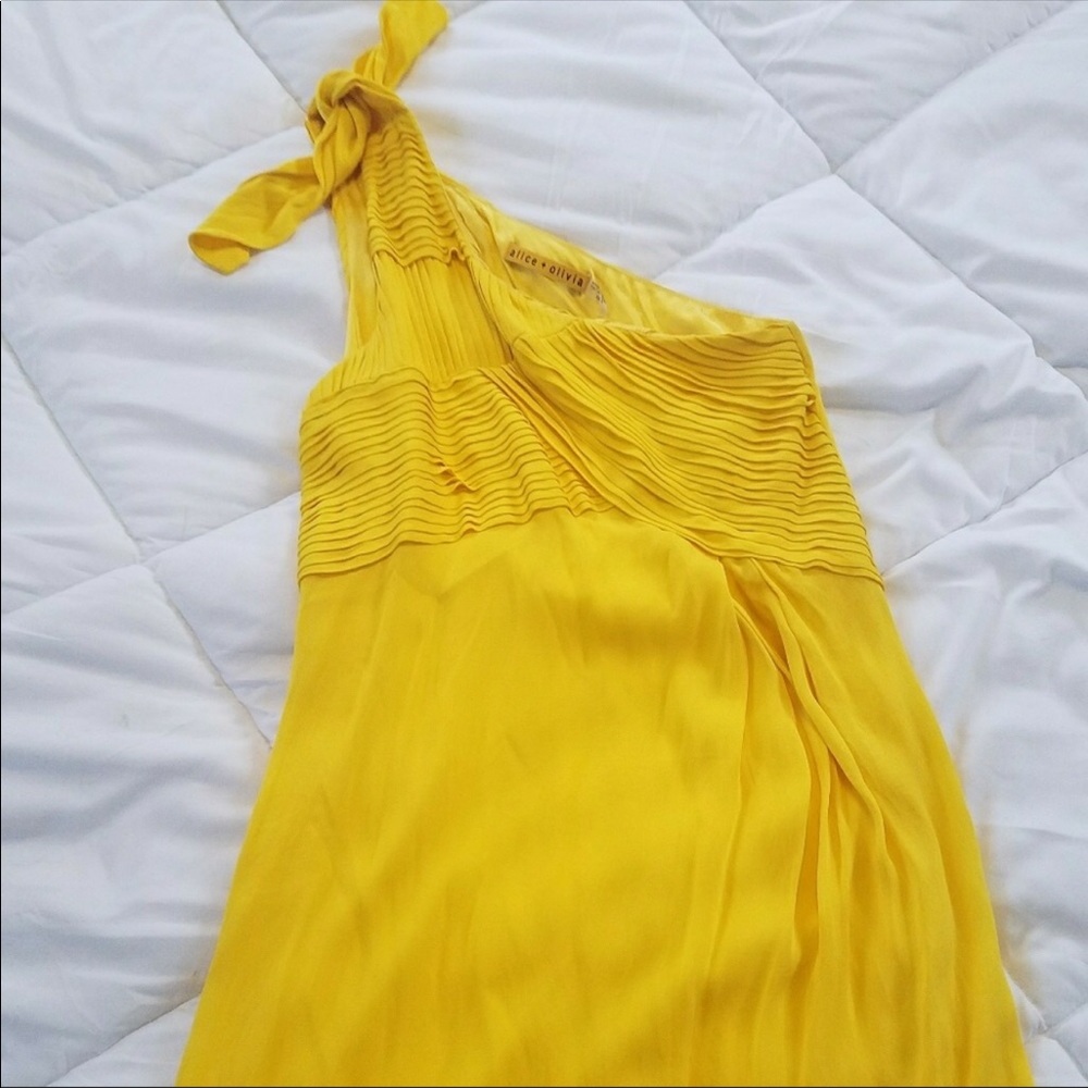 Alice + Olivia dress